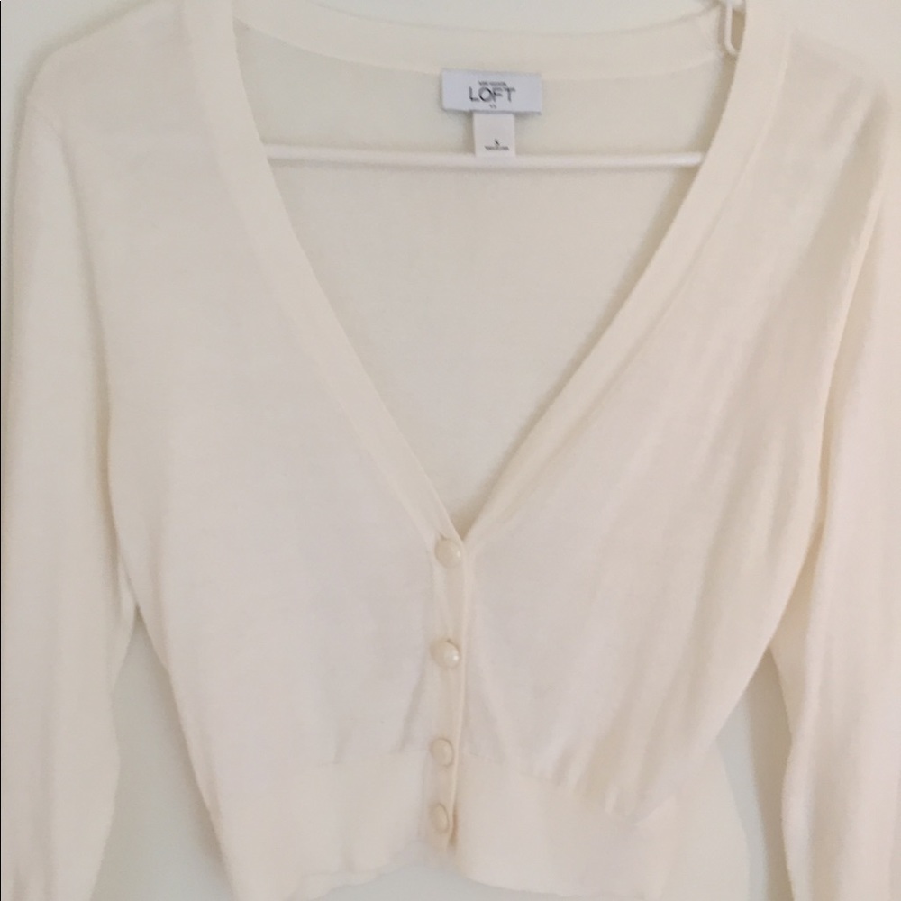 Ann Taylor Loft sweater